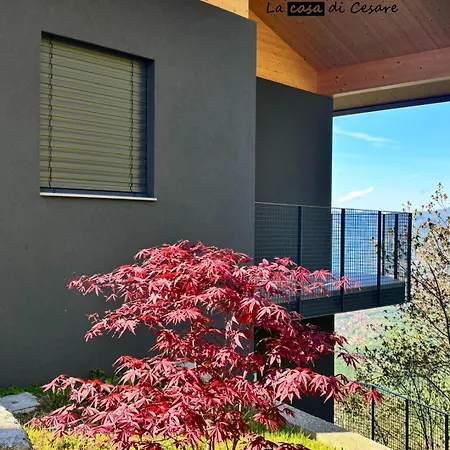 La Casa Di Cesare *